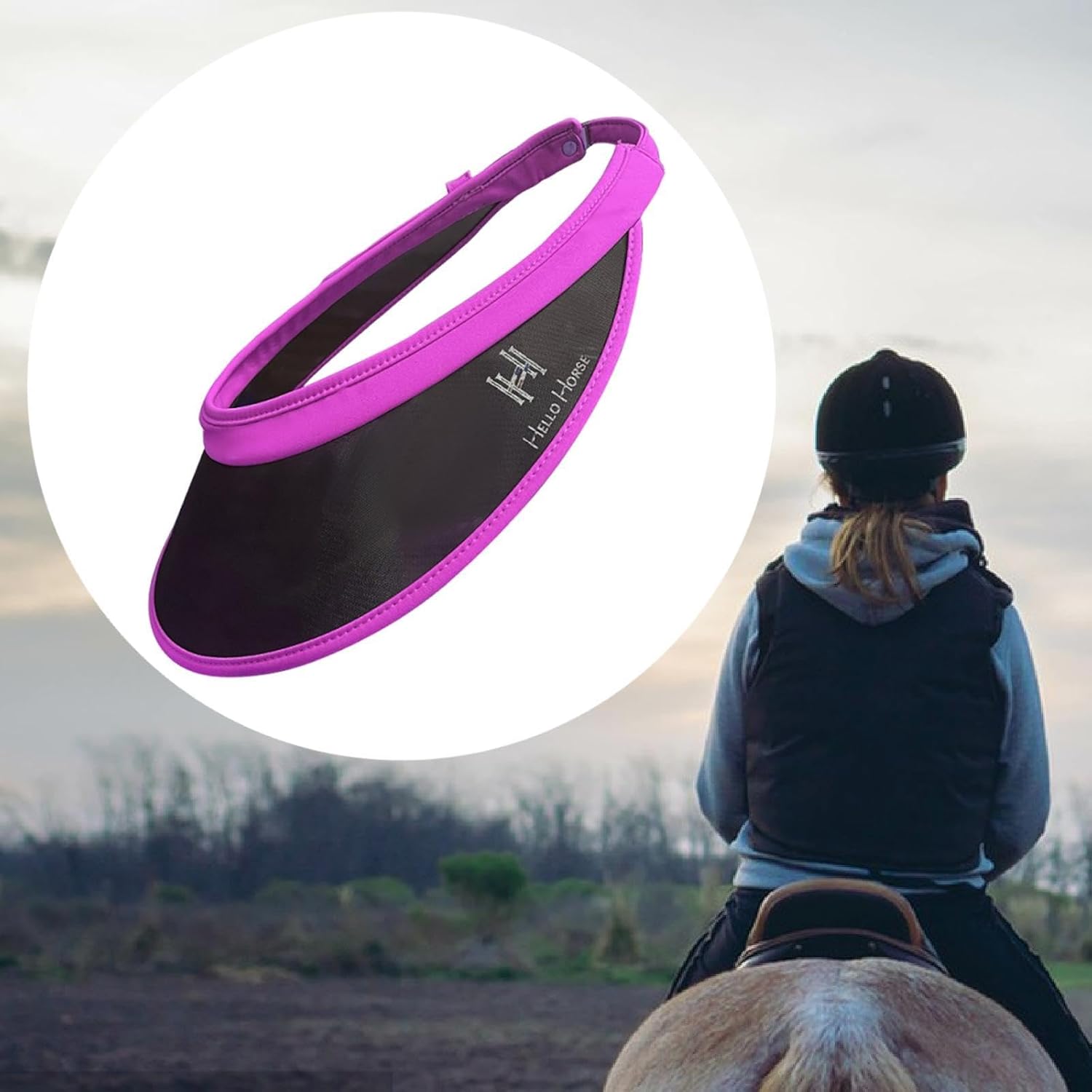 美品 掛け軸 大野橙月作 四季草花図 共箱 太巻き付 花鳥 南天 牡丹 縁起物